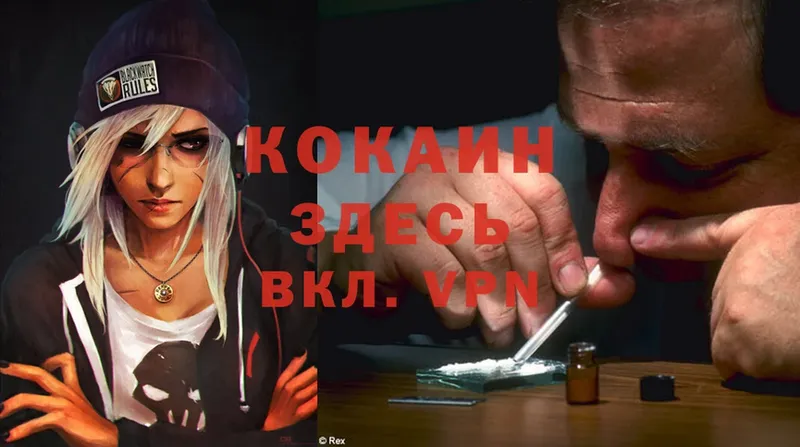 Cocaine Эквадор  даркнет сайт  Курчалой 